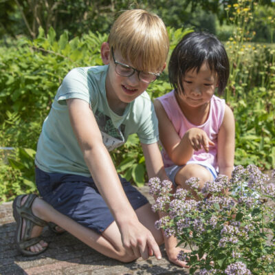 kinderen seizoensgebonden soorten zoals vlinders zoeken